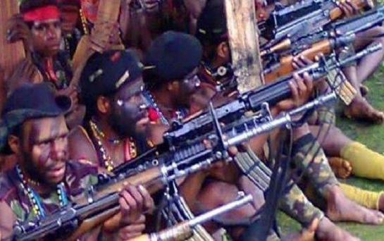 Kelompok Separatis Teroris (KST) Papua pantas dibasmi