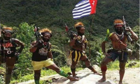 Provokasi dan Propaganda OPM tentang Kekerasan terhadap Wargaoleh TNI di Papua